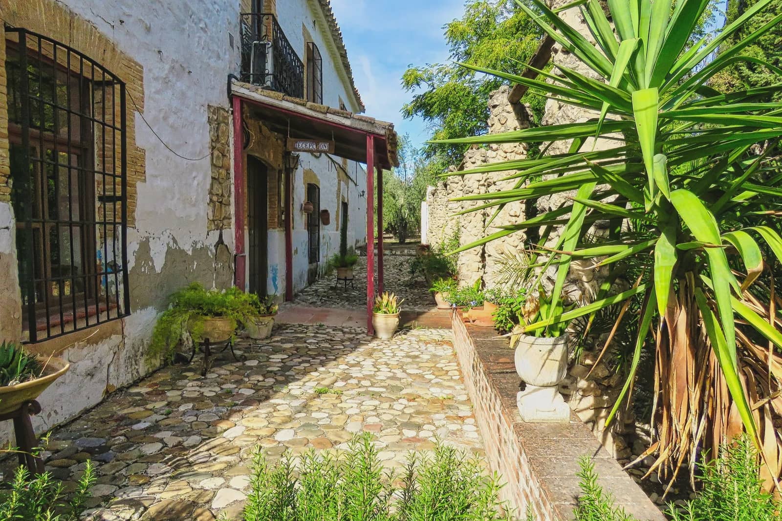 20 bedroom Finca/Country House for sale in Ubeda with pool - € 799,000 (Ref: 9395498)