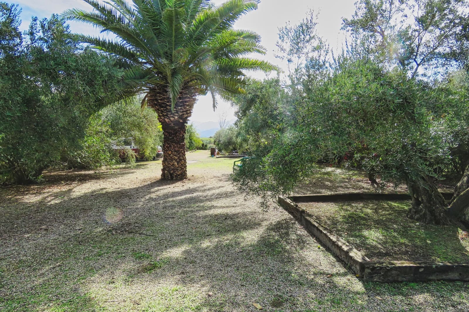 20 bedroom Finca/Country House for sale in Ubeda with pool - € 799,000 (Ref: 9395498)