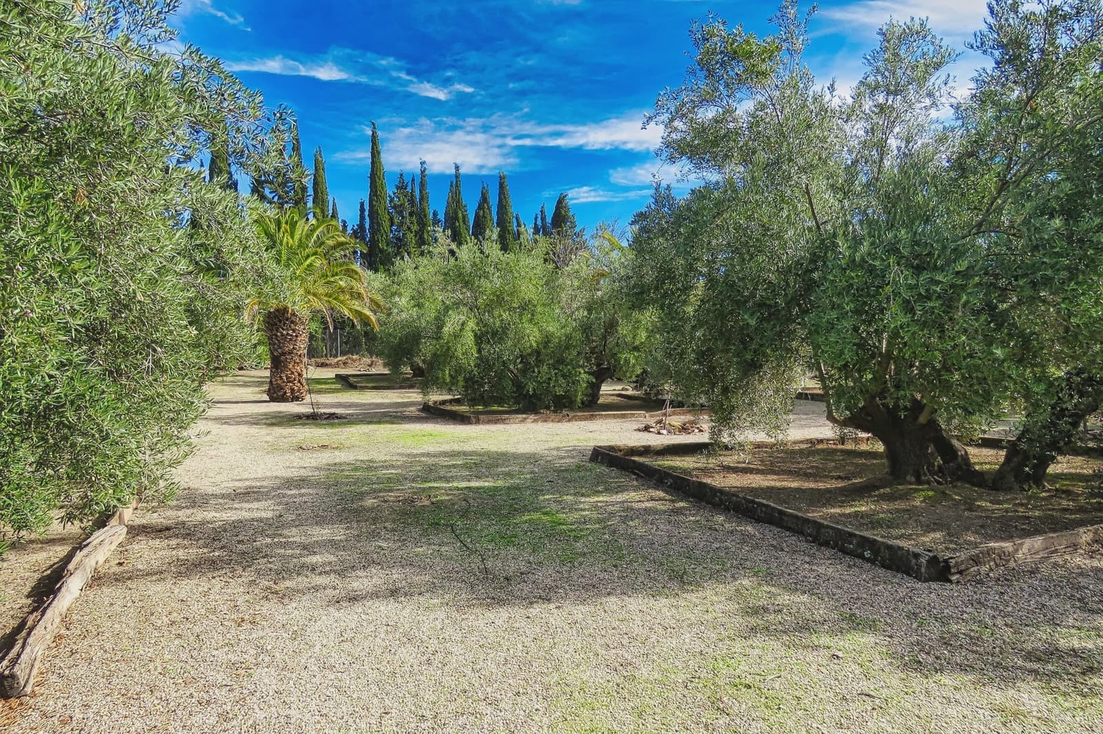 20 bedroom Finca/Country House for sale in Ubeda with pool - € 799,000 (Ref: 9395498)