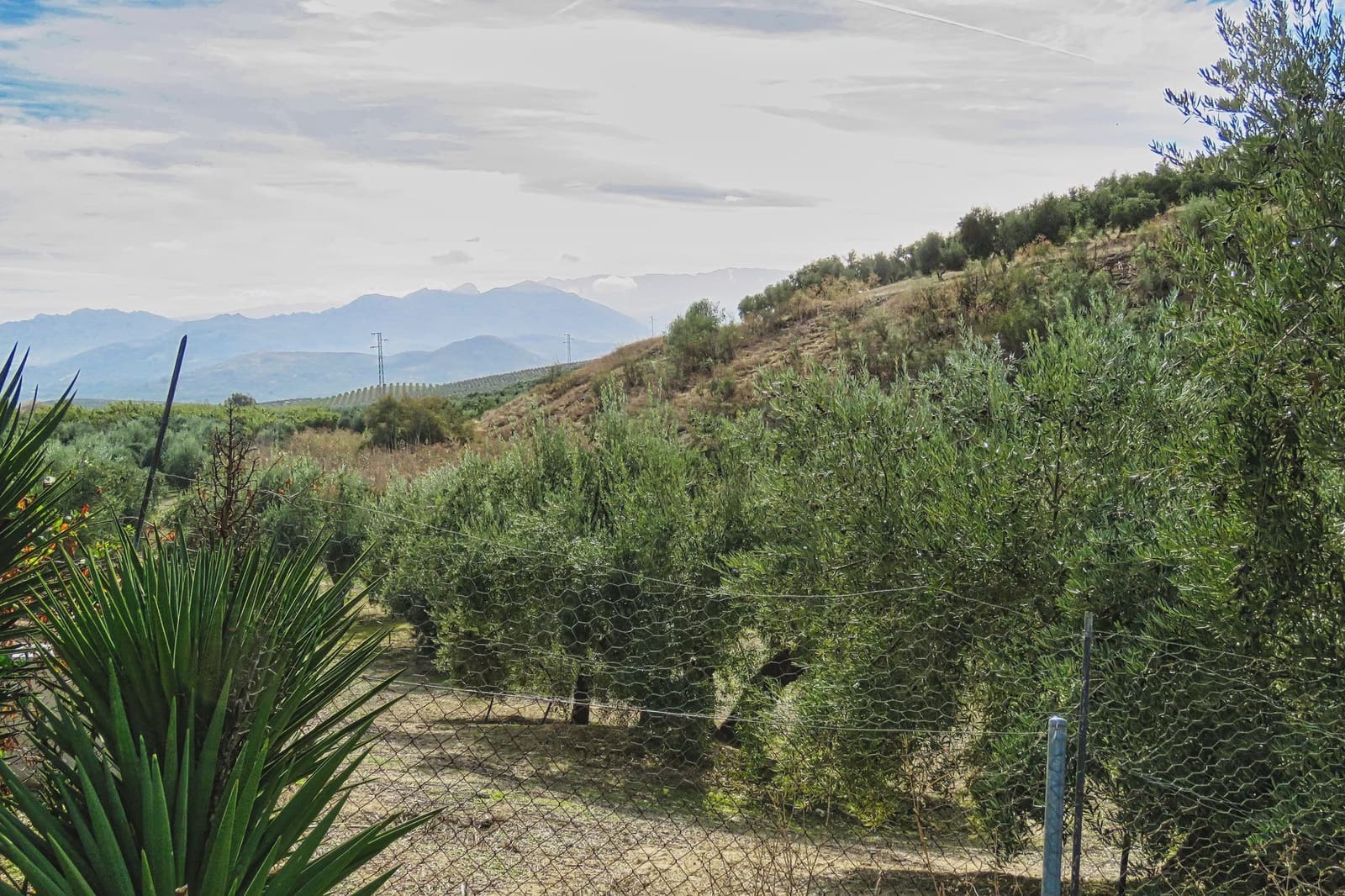 20 bedroom Finca/Country House for sale in Ubeda with pool - € 799,000 (Ref: 9395498)
