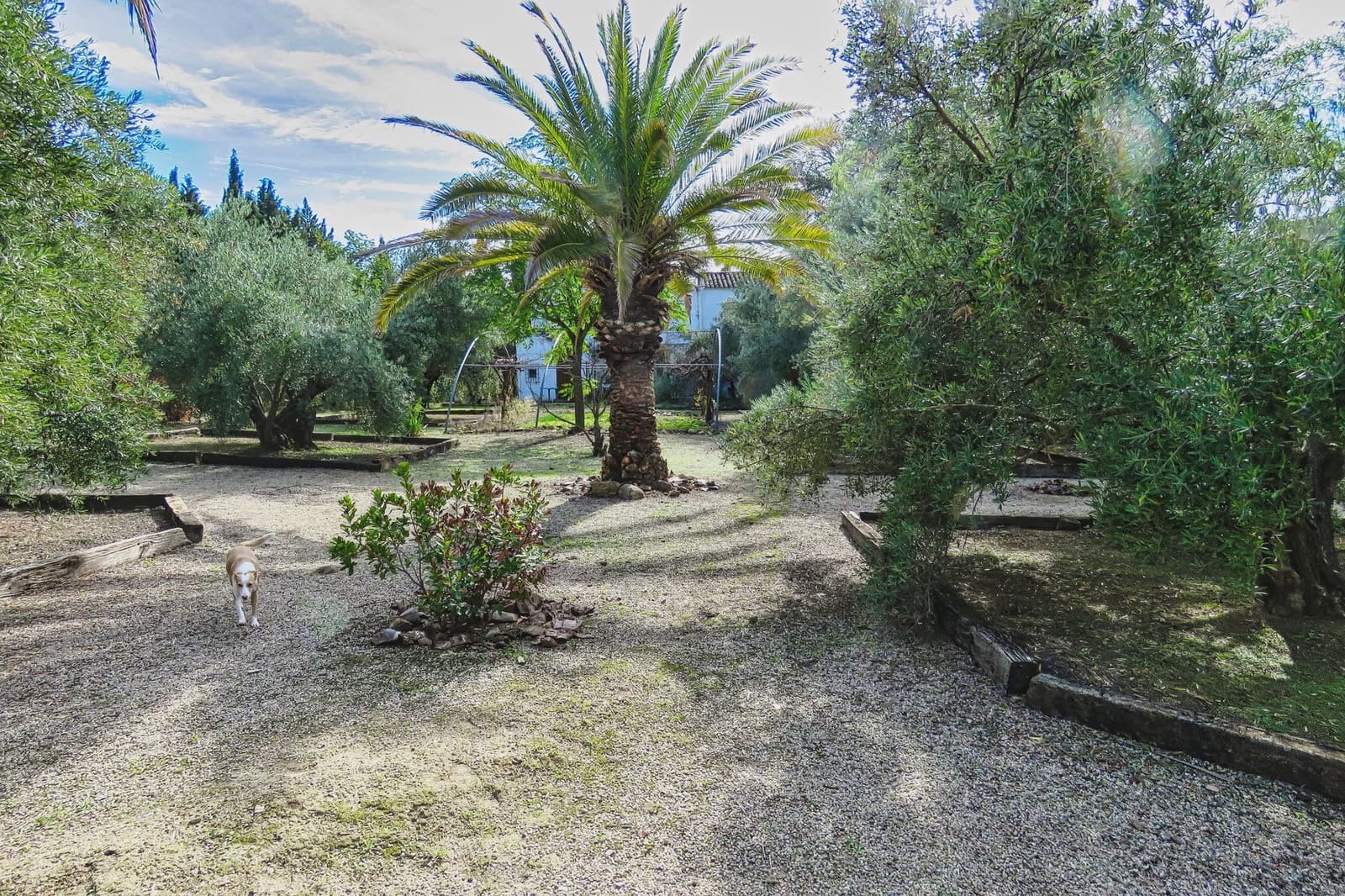 20 bedroom Finca/Country House for sale in Ubeda with pool - € 799,000 (Ref: 9395498)