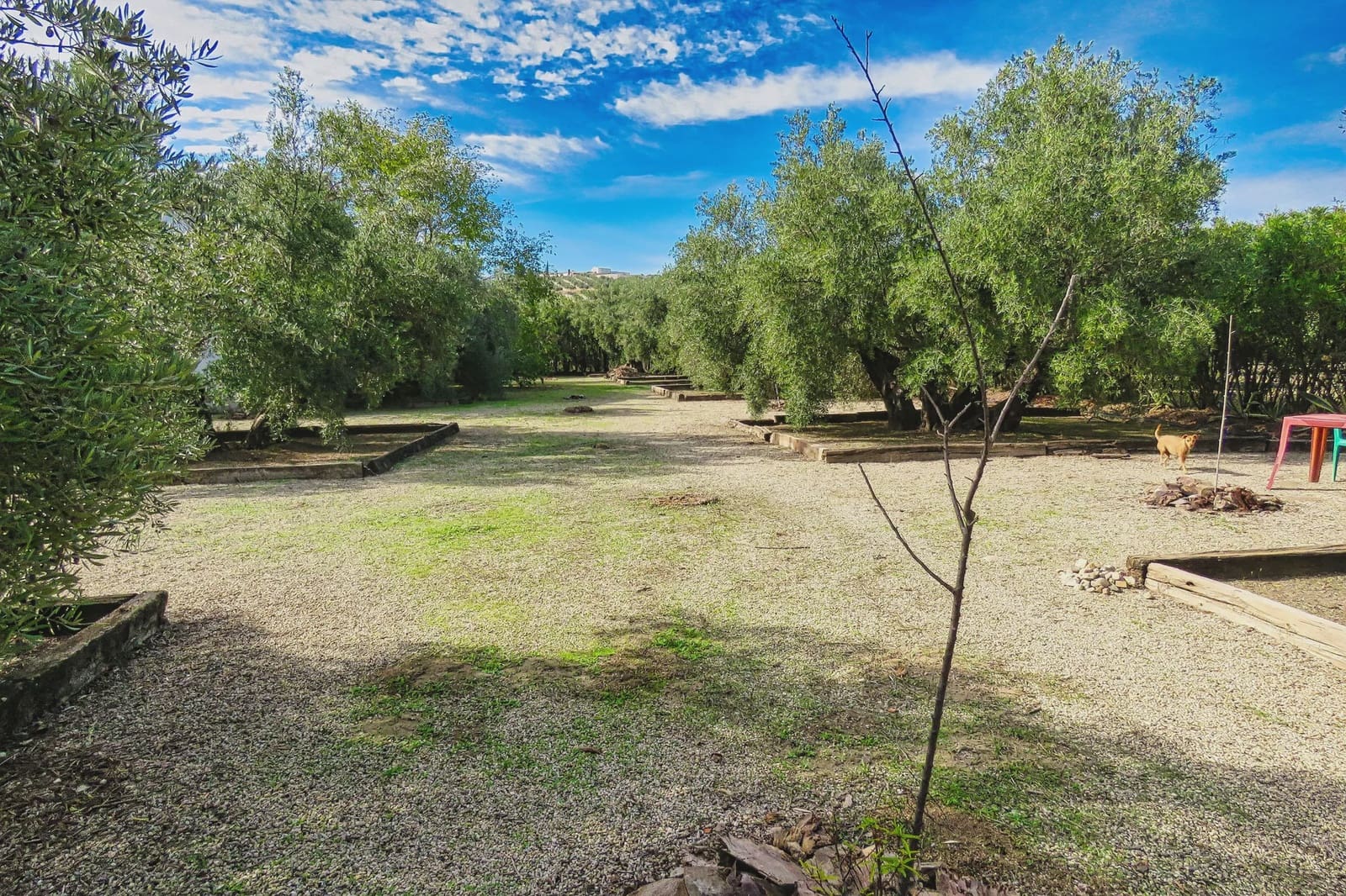 20 bedroom Finca/Country House for sale in Ubeda with pool - € 799,000 (Ref: 9395498)