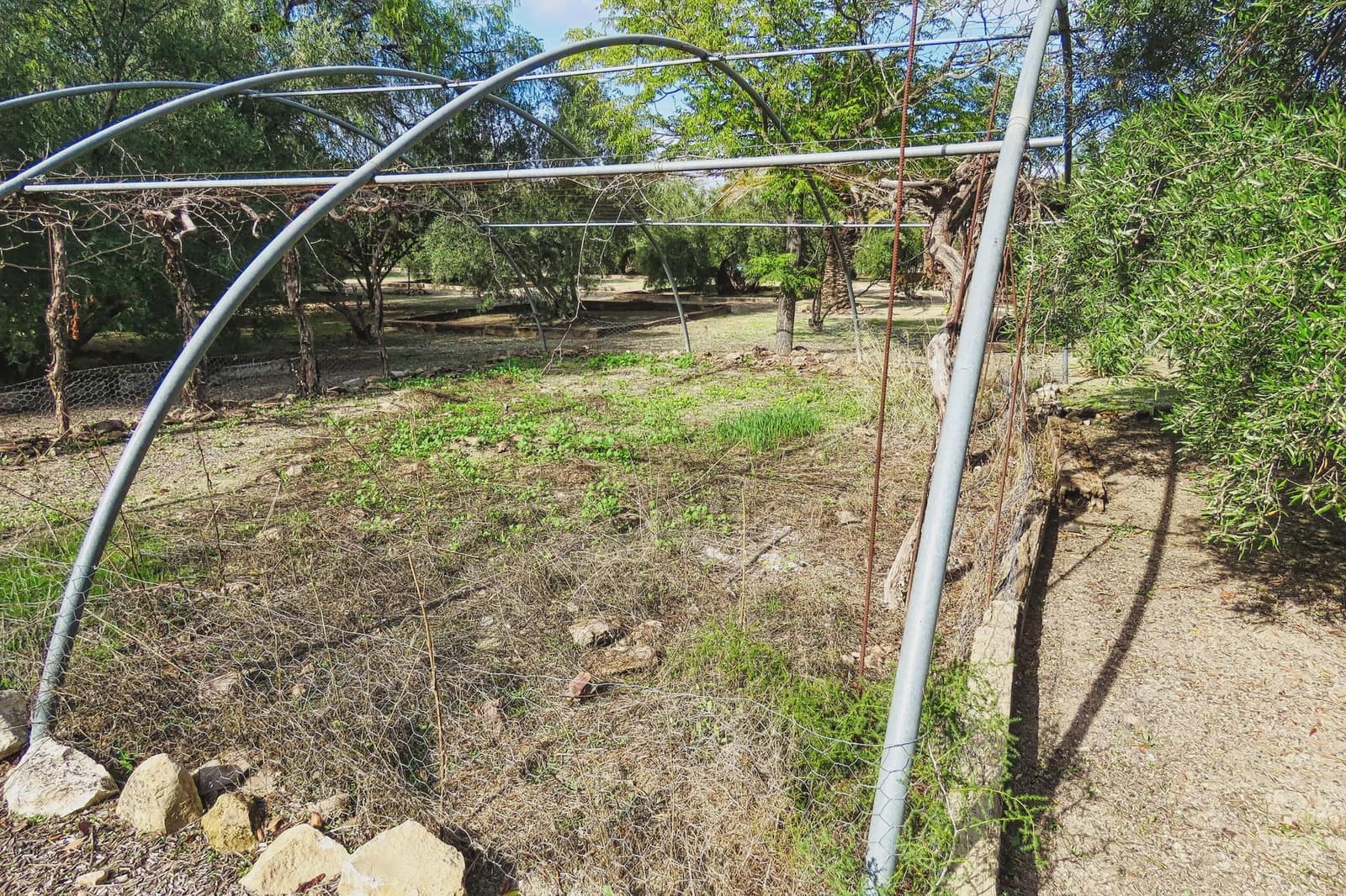 20 bedroom Finca/Country House for sale in Ubeda with pool - € 799,000 (Ref: 9395498)