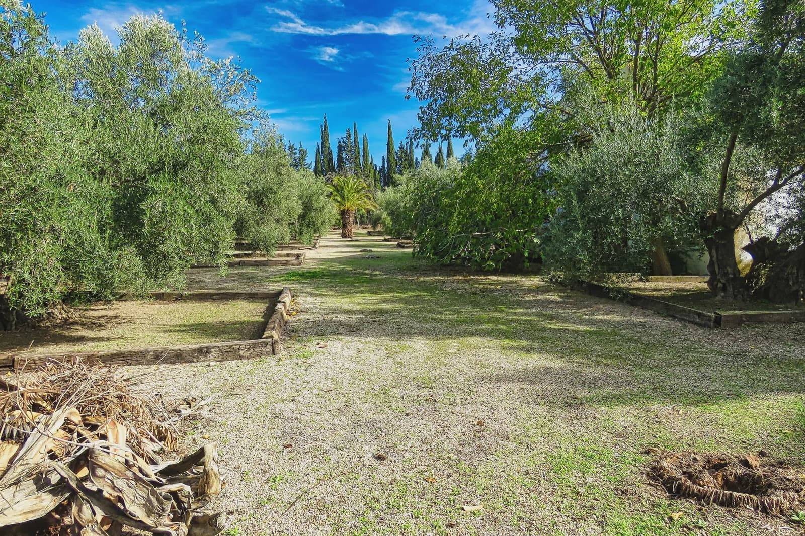 20 bedroom Finca/Country House for sale in Ubeda with pool - € 799,000 (Ref: 9395498)