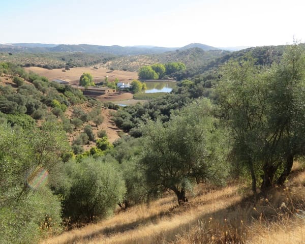 3 bedroom Finca/Country House for sale in Las Navas de la Concepción with garage - € 270,000 (Ref: 9397984)