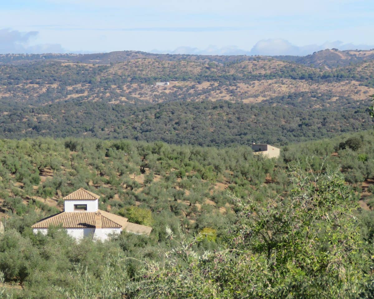 3 bedroom Finca/Country House for sale in Las Navas de la Concepcion with garage - € 270,000 (Ref: 9397984)