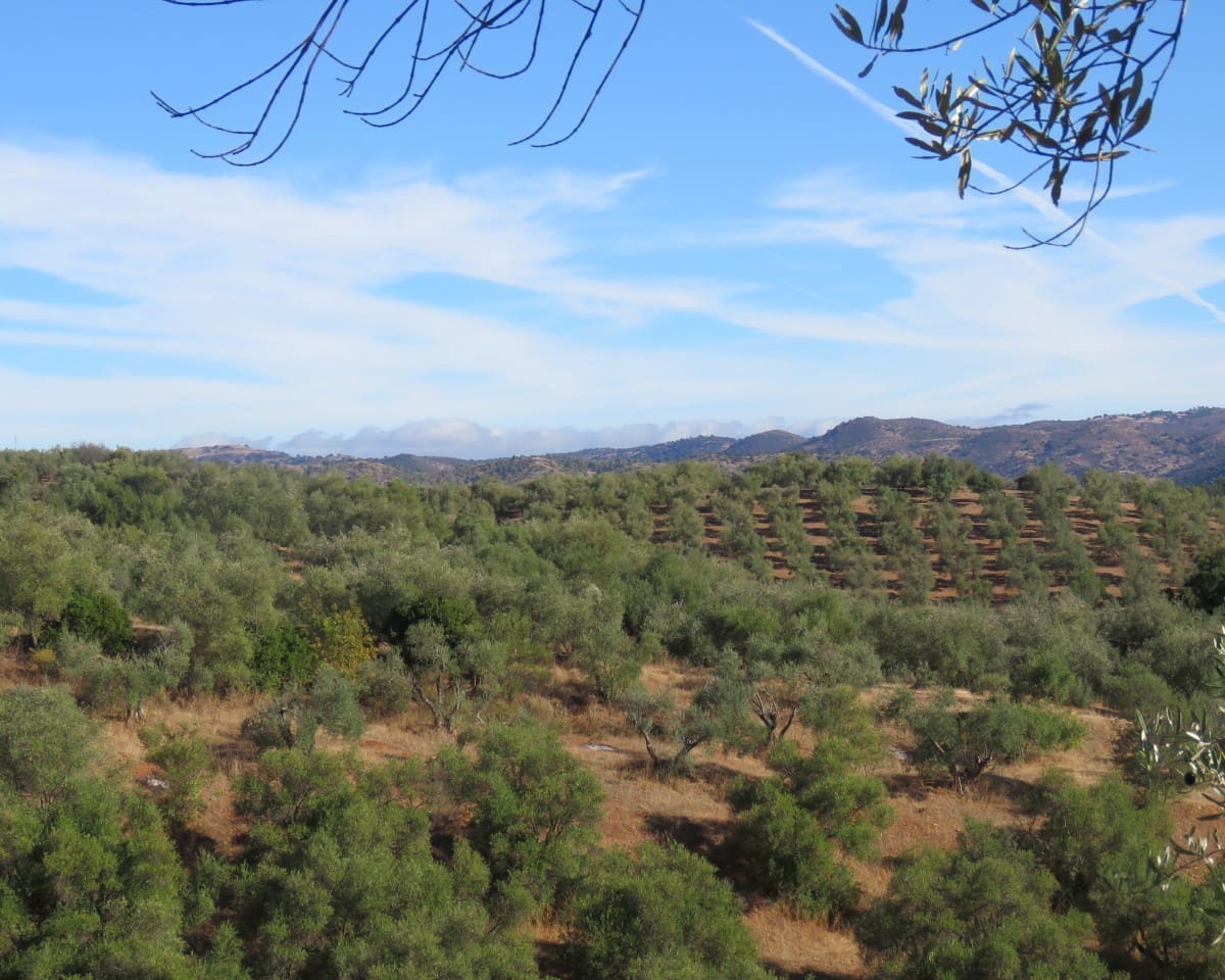 3 bedroom Finca/Country House for sale in Las Navas de la Concepcion with garage - € 270,000 (Ref: 9397984)