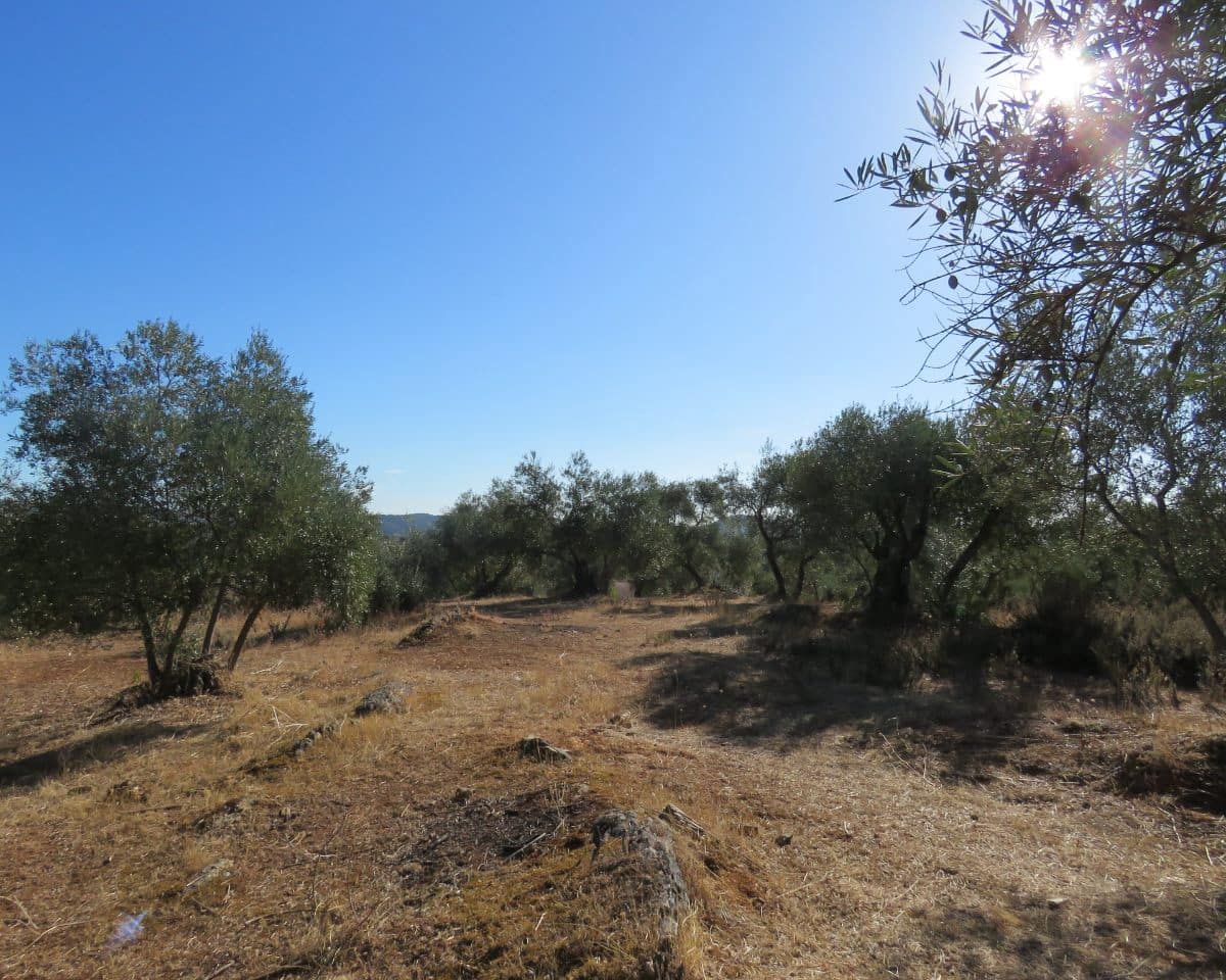 3 bedroom Finca/Country House for sale in Las Navas de la Concepcion with garage - € 270,000 (Ref: 9397984)