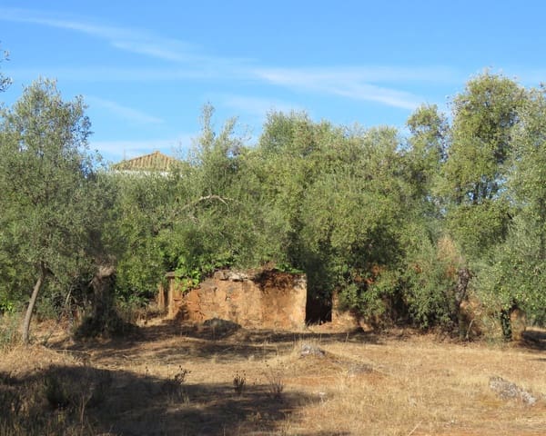 3 bedroom Finca/Country House for sale in Las Navas de la Concepción with garage - € 270,000 (Ref: 9397984)