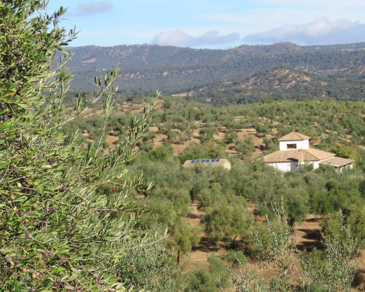 3 bedroom Finca/Country House for sale in Las Navas de la Concepcion with garage - € 270,000 (Ref: 9397984)