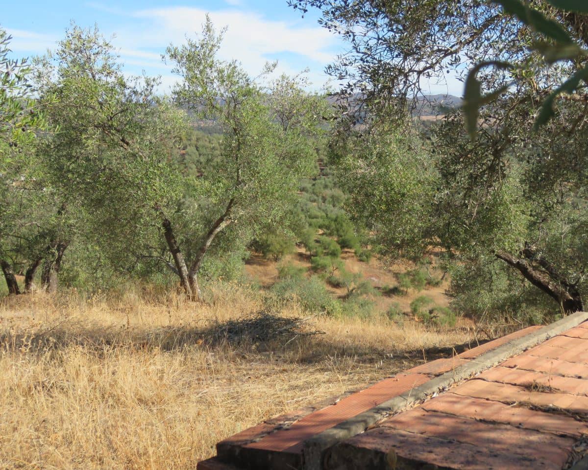 3 bedroom Finca/Country House for sale in Las Navas de la Concepcion with garage - € 270,000 (Ref: 9397984)