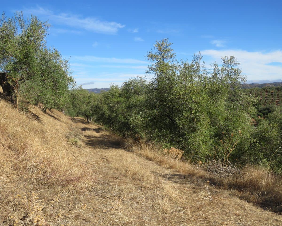 3 bedroom Finca/Country House for sale in Las Navas de la Concepcion with garage - € 270,000 (Ref: 9397984)
