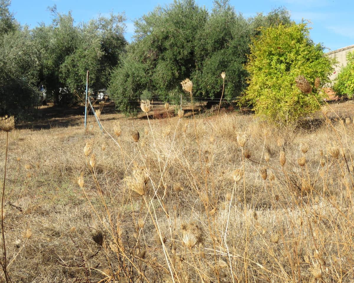 3 bedroom Finca/Country House for sale in Las Navas de la Concepcion with garage - € 270,000 (Ref: 9397984)