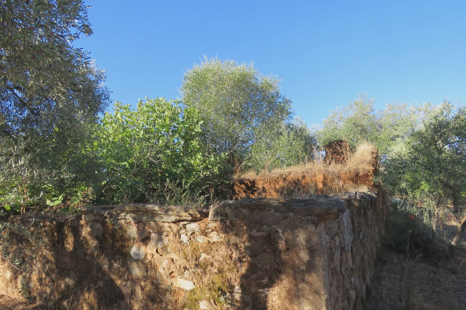 3 soverom Finca/Herregård til salgs i Las Navas de la Concepcion med garasje - € 270 000 (Ref: 9397984)