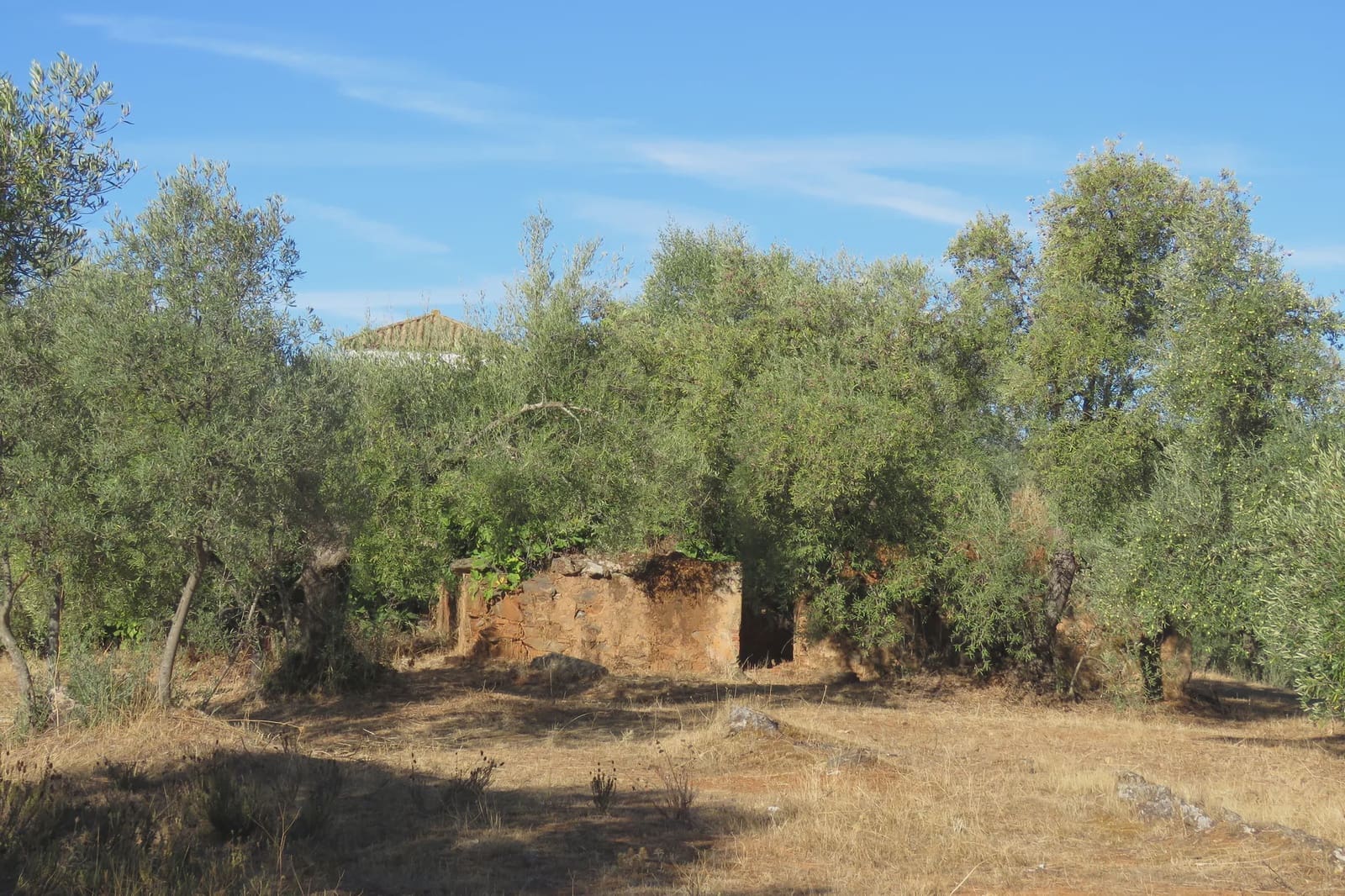 3 soverom Finca/Herregård til salgs i Las Navas de la Concepcion med garasje - € 270 000 (Ref: 9397984)