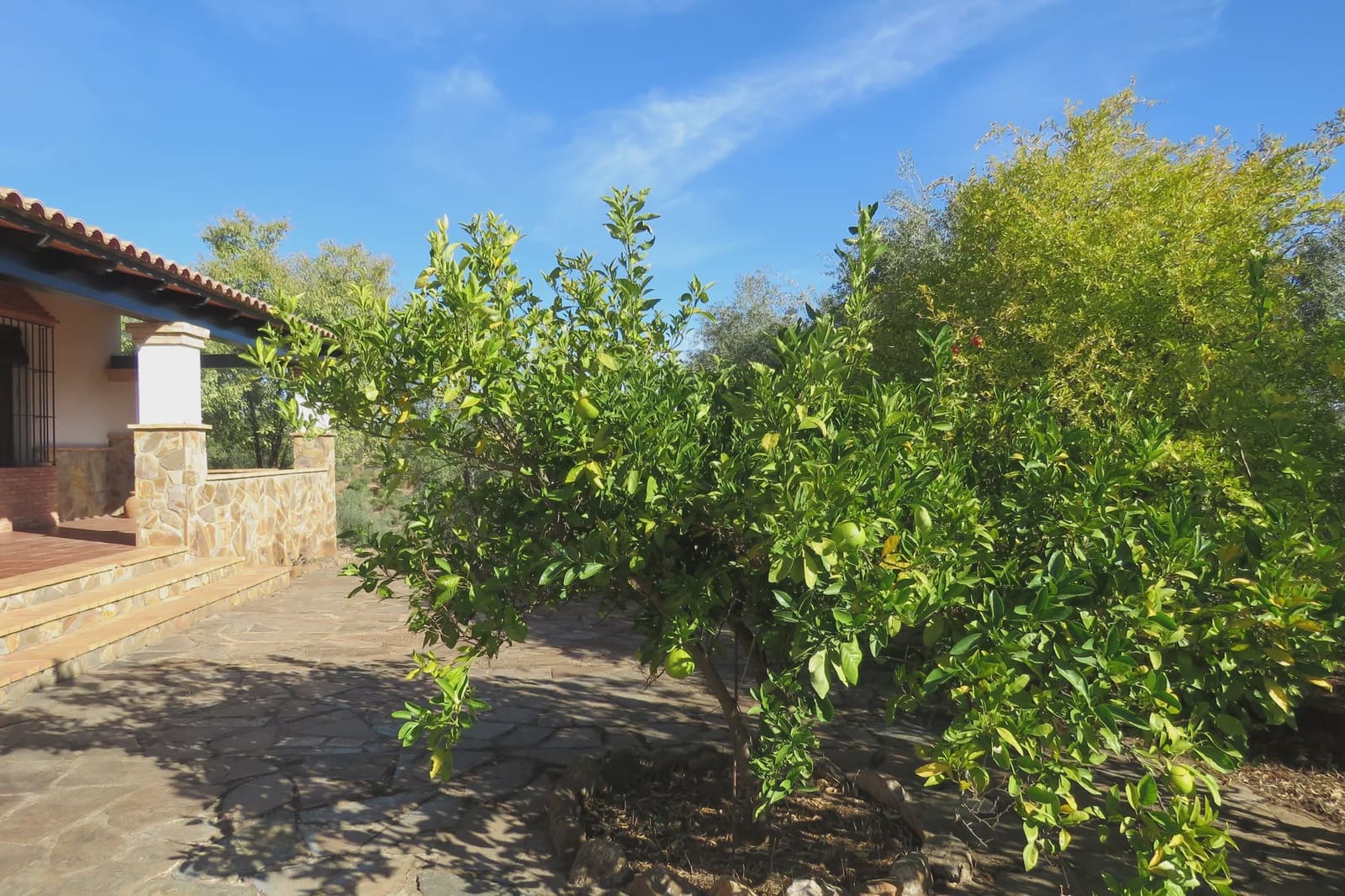 3 soverom Finca/Herregård til salgs i Las Navas de la Concepcion med garasje - € 270 000 (Ref: 9397984)