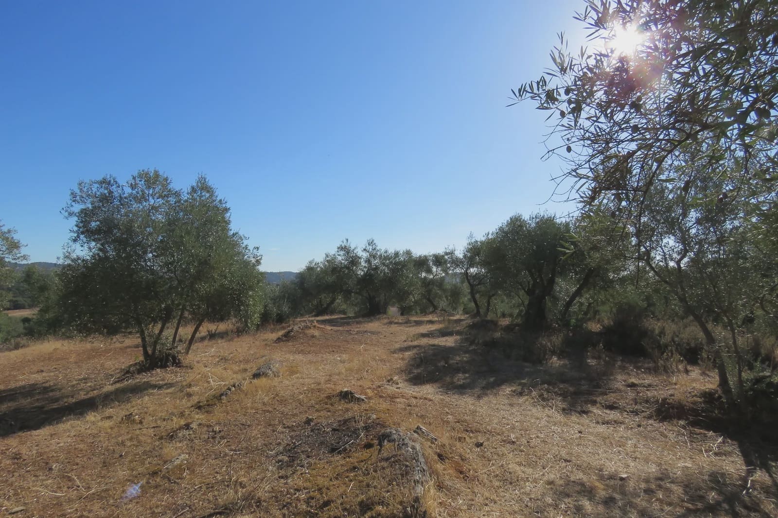 3 soverom Finca/Herregård til salgs i Las Navas de la Concepcion med garasje - € 270 000 (Ref: 9397984)