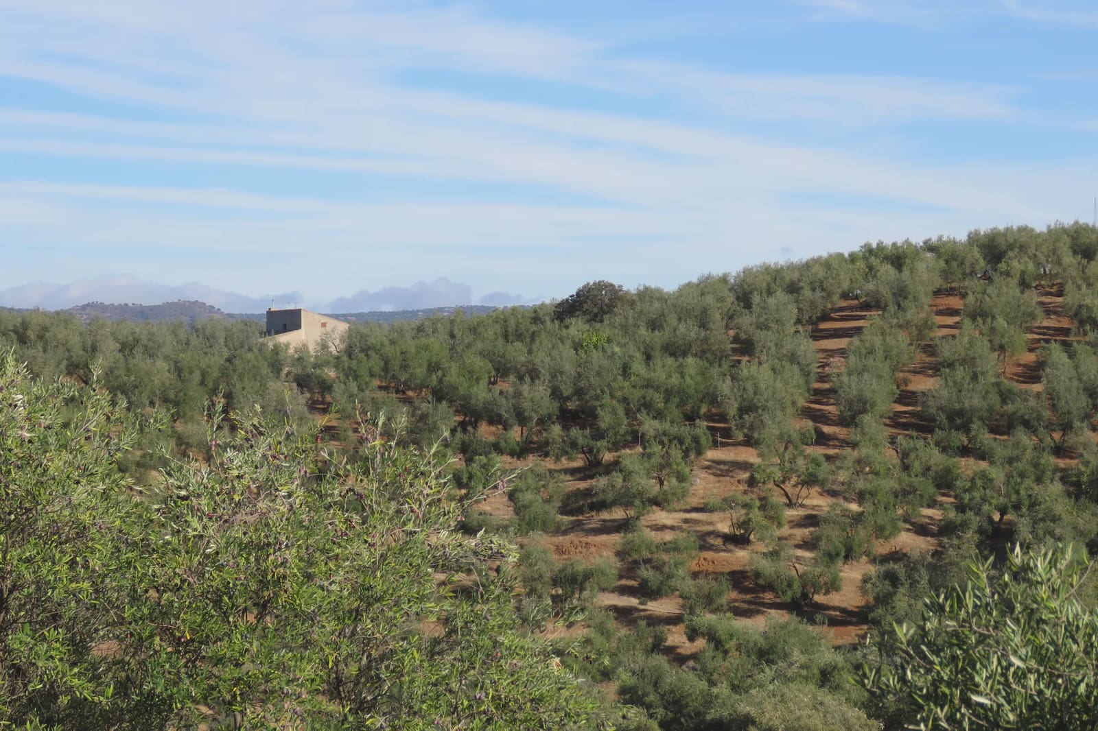 3 soverom Finca/Herregård til salgs i Las Navas de la Concepcion med garasje - € 270 000 (Ref: 9397984)