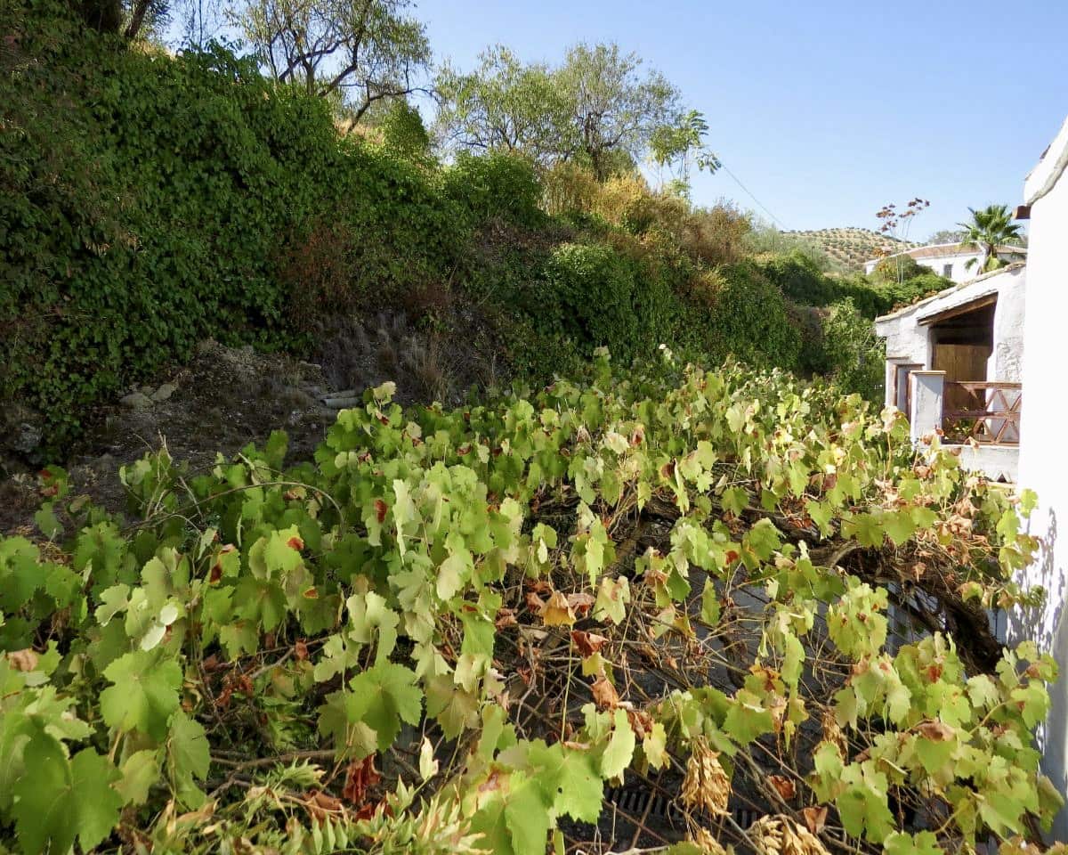 5 bedroom Finca/Country House for sale in Algarinejo - € 750,000 (Ref: 9412938)