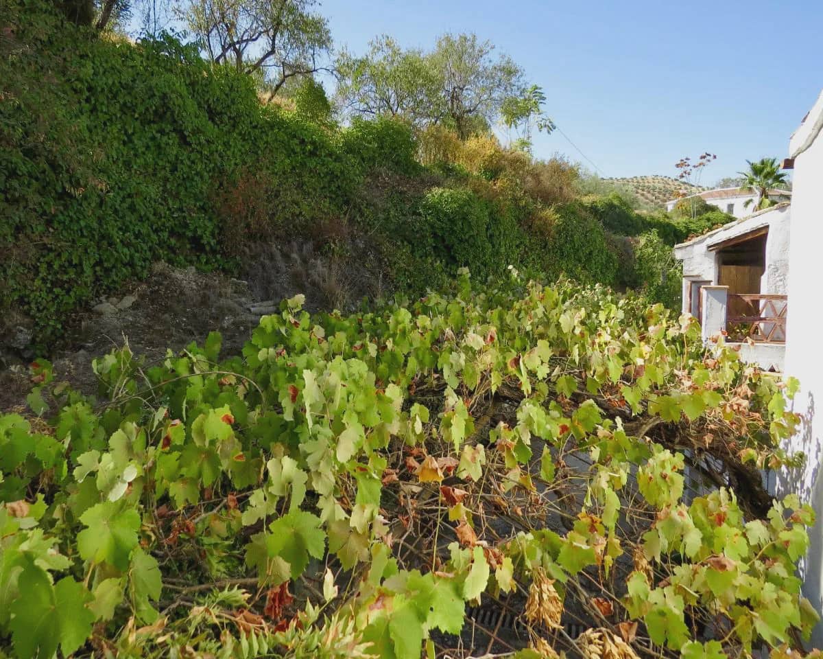 5 bedroom Finca/Country House for sale in Algarinejo with pool - € 750,000 (Ref: 9412938)