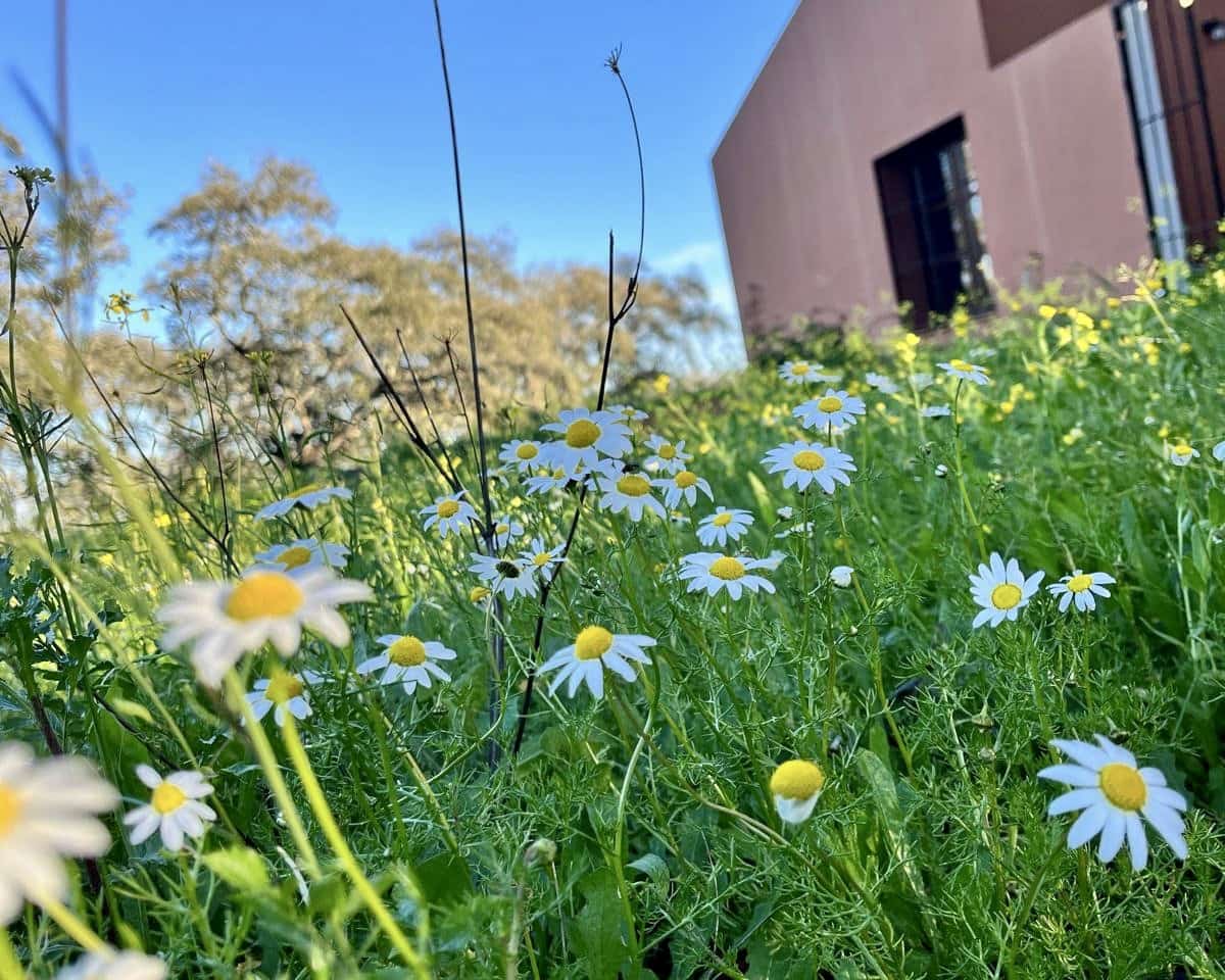 Finca/Casa Rural de 7 habitaciones en El Castillo de las Guardas en venta con piscina - 595.000 € (Ref: 9473297)