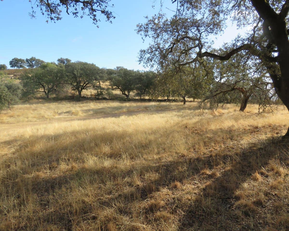 Finca/Casa Rural de 7 habitaciones en El Castillo de las Guardas en venta con piscina - 595.000 € (Ref: 9473297)