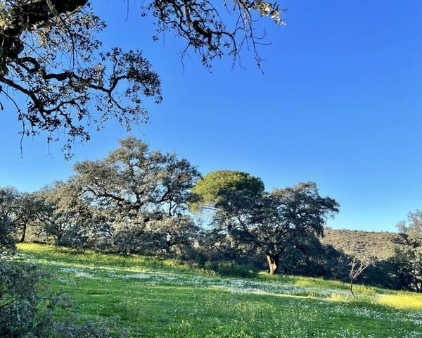 Finca/Casa Rural de 7 habitaciones en El Castillo de las Guardas en venta con piscina - 595.000 € (Ref: 9473297)