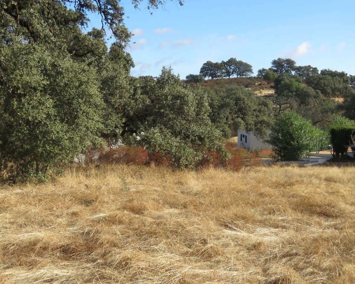 Finca/Casa Rural de 7 habitaciones en El Castillo de las Guardas en venta con piscina - 595.000 € (Ref: 9473297)