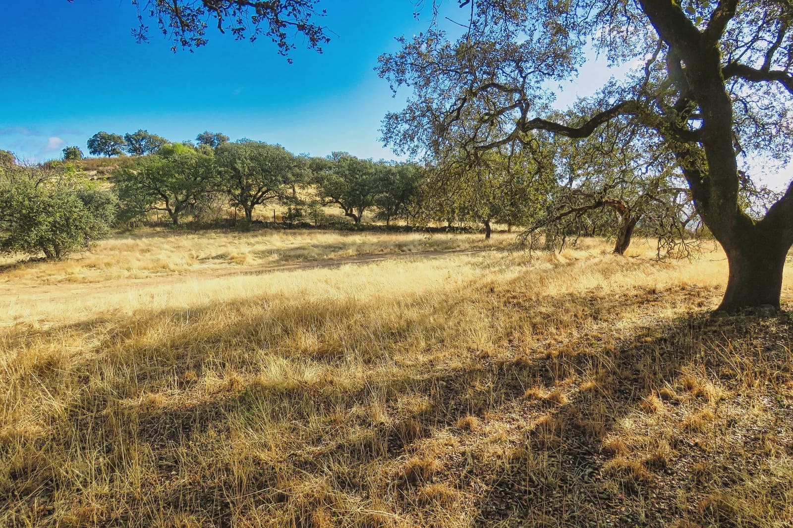 7 sypialnia Finka/Dom wiejski na sprzedaż w El Castillo de las Guardas z basenem - 595 000 € (Ref: 9473297)