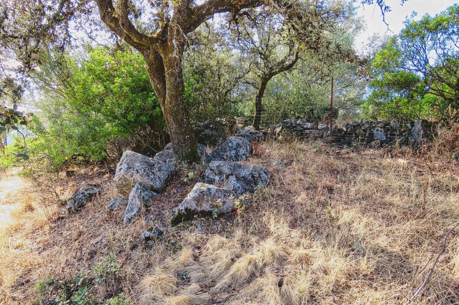 7 sypialnia Finka/Dom wiejski na sprzedaż w El Castillo de las Guardas z basenem - 595 000 € (Ref: 9473297)