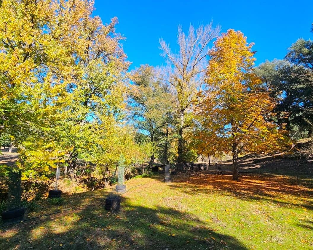 4 soveværelse Finca/Landehus til salg i Cortelazor med swimmingpool - € 398.000 (Ref: 9626513)