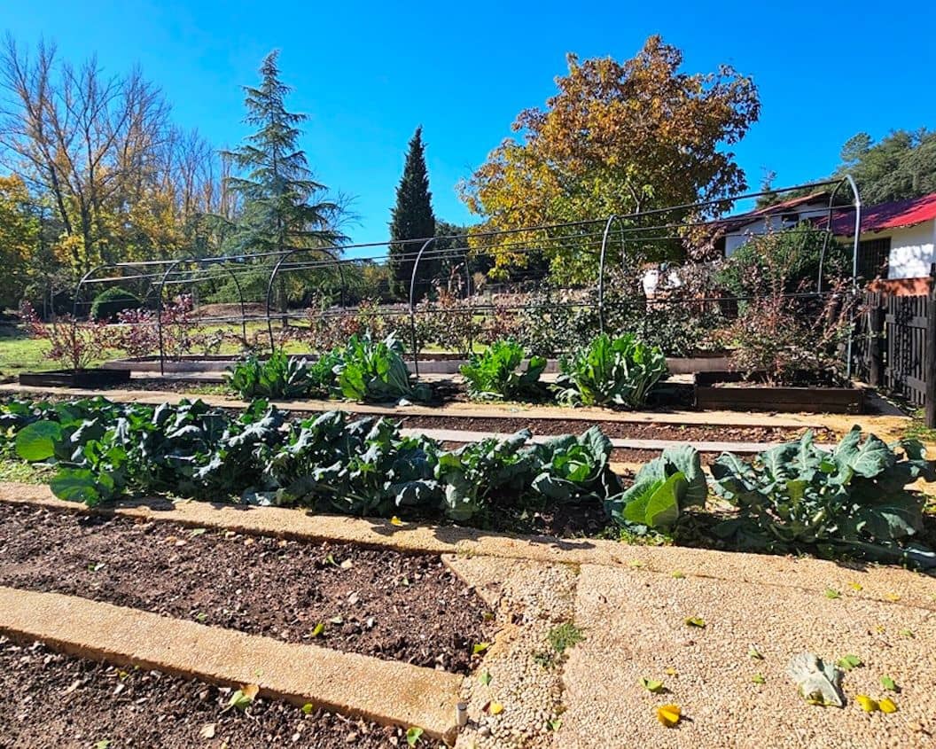 4 soveværelse Finca/Landehus til salg i Cortelazor med swimmingpool - € 398.000 (Ref: 9626513)