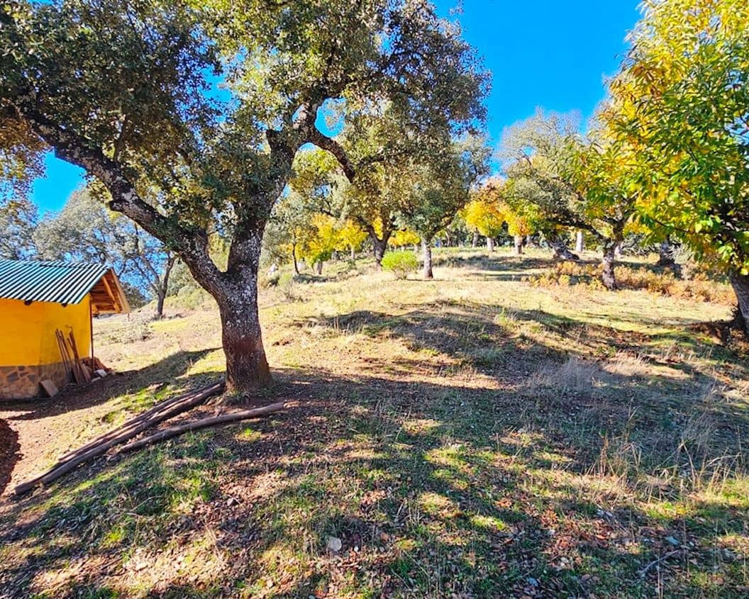 4 soveværelse Finca/Landehus til salg i Cortelazor med swimmingpool - € 398.000 (Ref: 9626513)