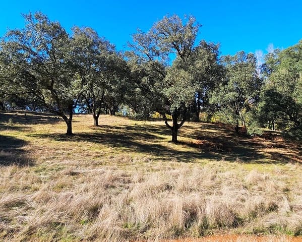 4 soveværelse Finca/Landehus til salg i Cortelazor med swimmingpool - € 398.000 (Ref: 9626513)