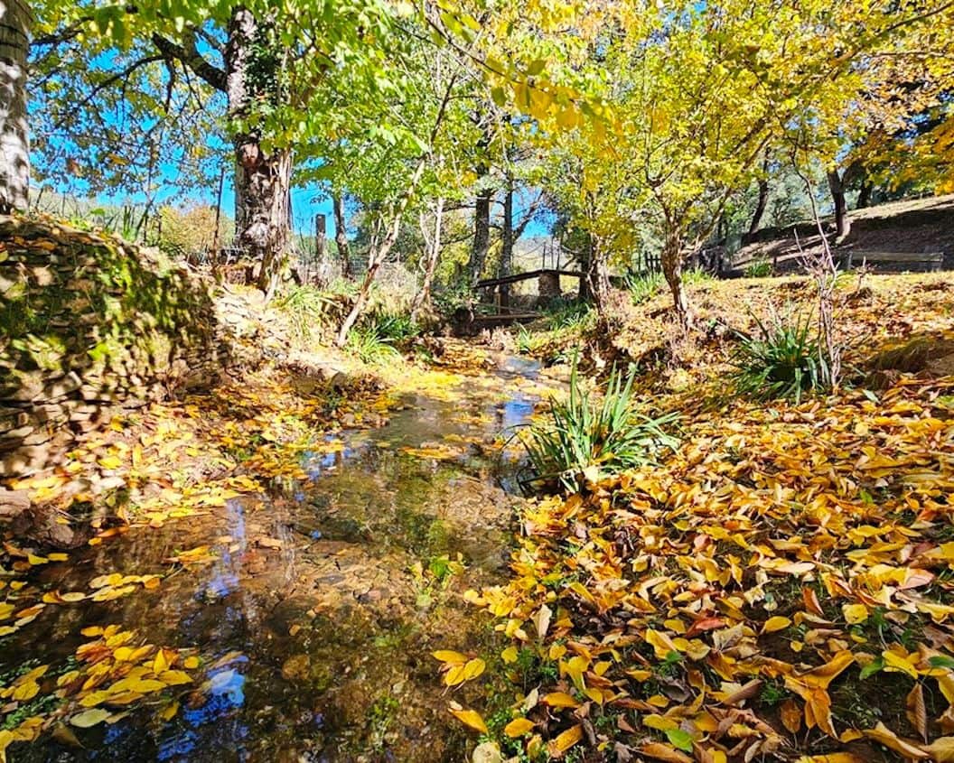 4 soveværelse Finca/Landehus til salg i Cortelazor med swimmingpool - € 398.000 (Ref: 9626513)