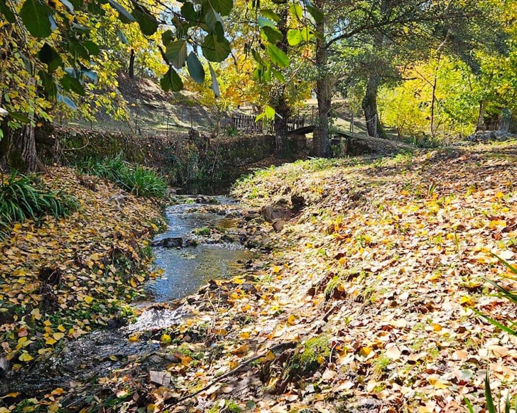 4 soveværelse Finca/Landehus til salg i Cortelazor med swimmingpool - € 398.000 (Ref: 9626513)