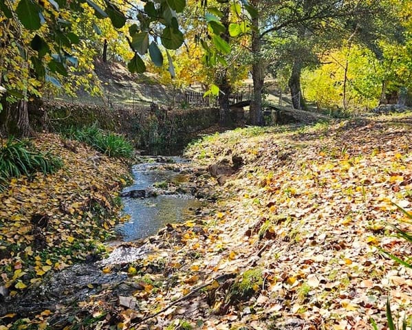 4 soveværelse Finca/Landehus til salg i Cortelazor med swimmingpool - € 398.000 (Ref: 9626513)