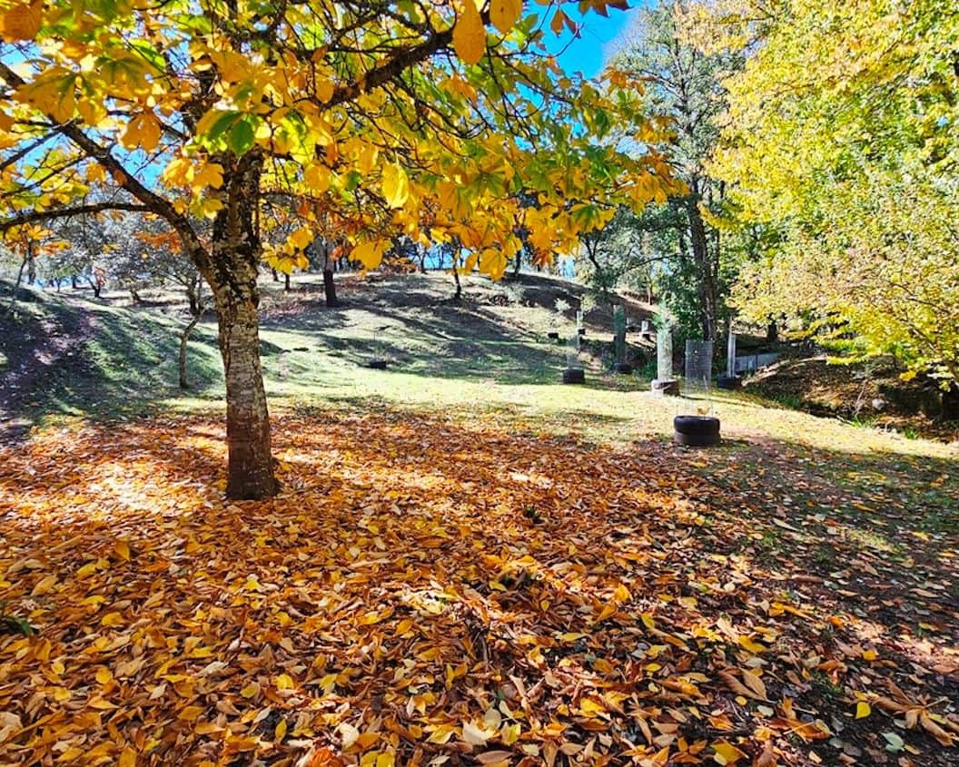 4 soveværelse Finca/Landehus til salg i Cortelazor med swimmingpool - € 398.000 (Ref: 9626513)