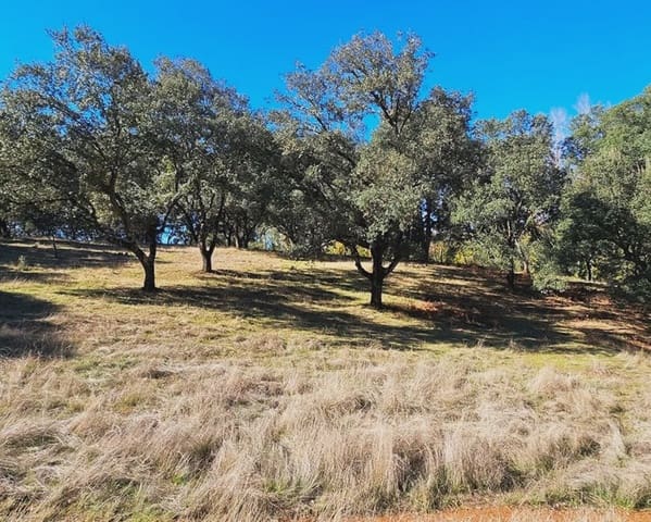 4 bedroom Finca/Country House for sale in Cortelazor with pool garage - € 398,000 (Ref: 9626513)