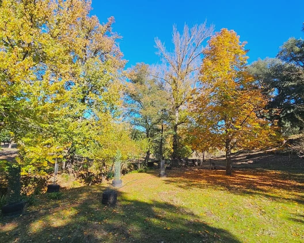 4 soverom Finca/Herregård til salgs i Cortelazor med svømmebasseng garasje - € 398 000 (Ref: 9626513)