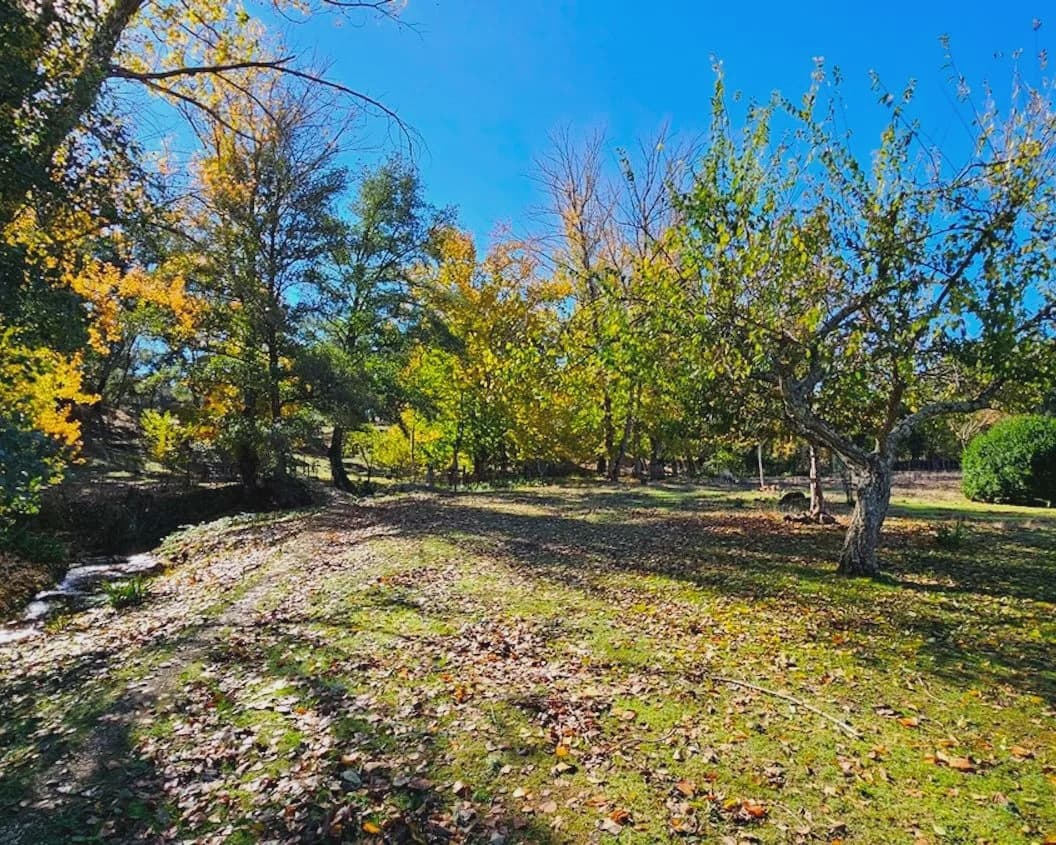 4 soverom Finca/Herregård til salgs i Cortelazor med svømmebasseng garasje - € 398 000 (Ref: 9626513)