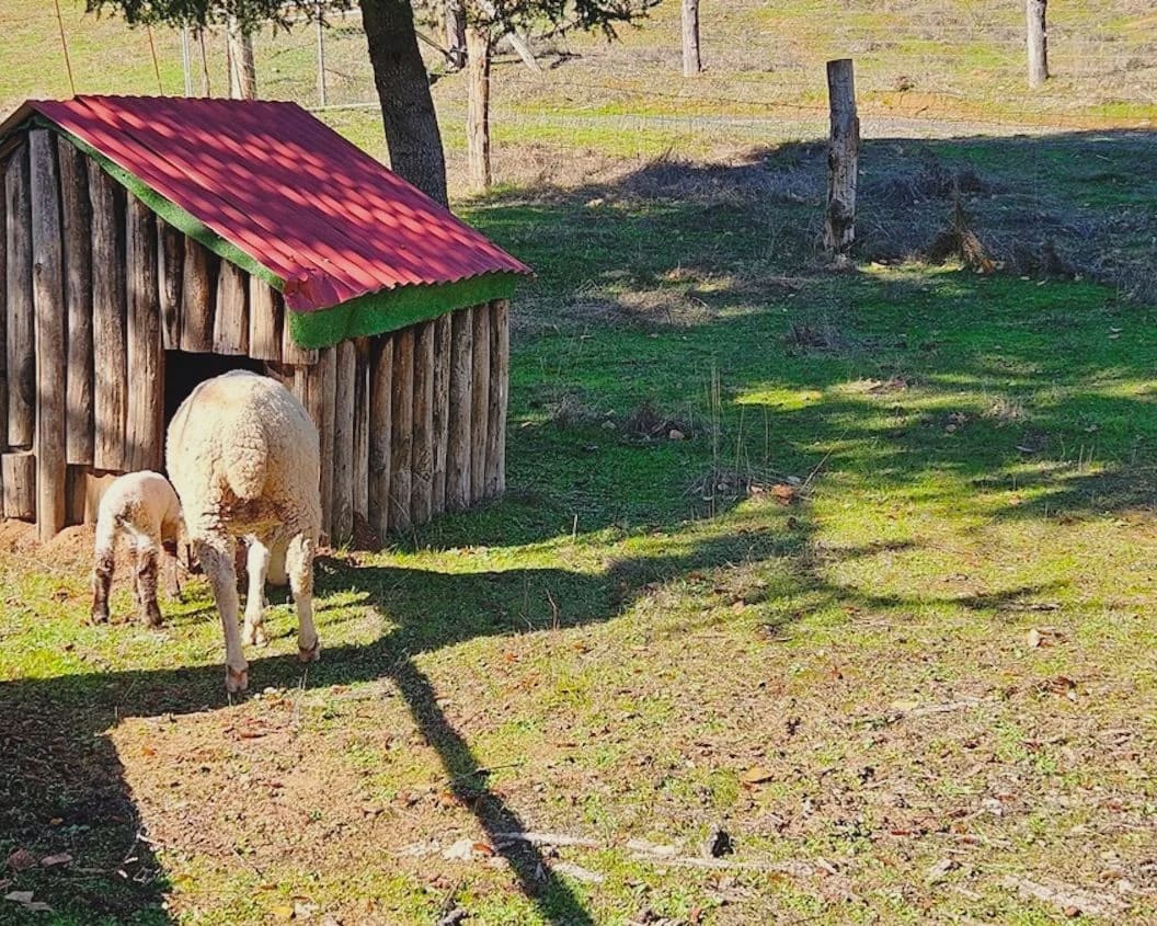4 soverom Finca/Herregård til salgs i Cortelazor med svømmebasseng garasje - € 398 000 (Ref: 9626513)