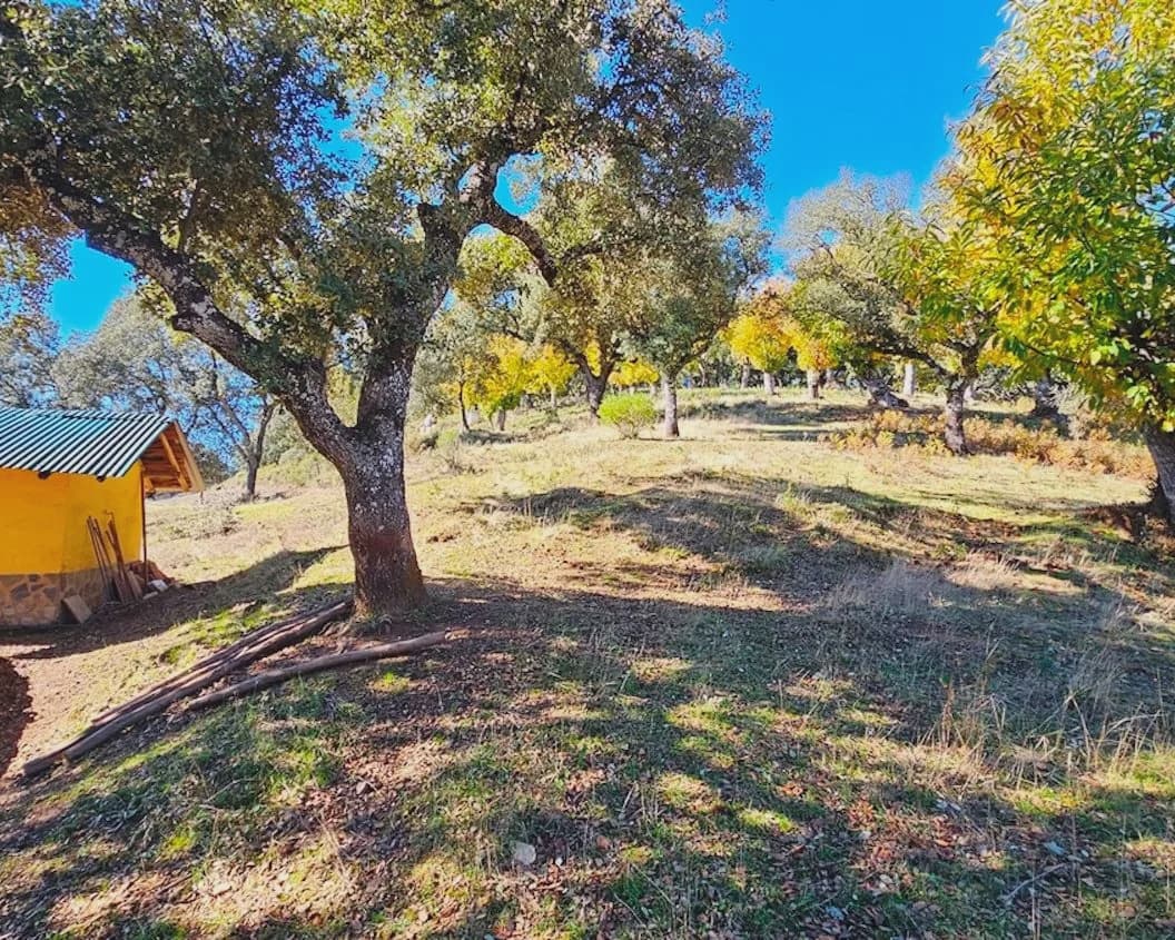 4 soverom Finca/Herregård til salgs i Cortelazor med svømmebasseng garasje - € 398 000 (Ref: 9626513)