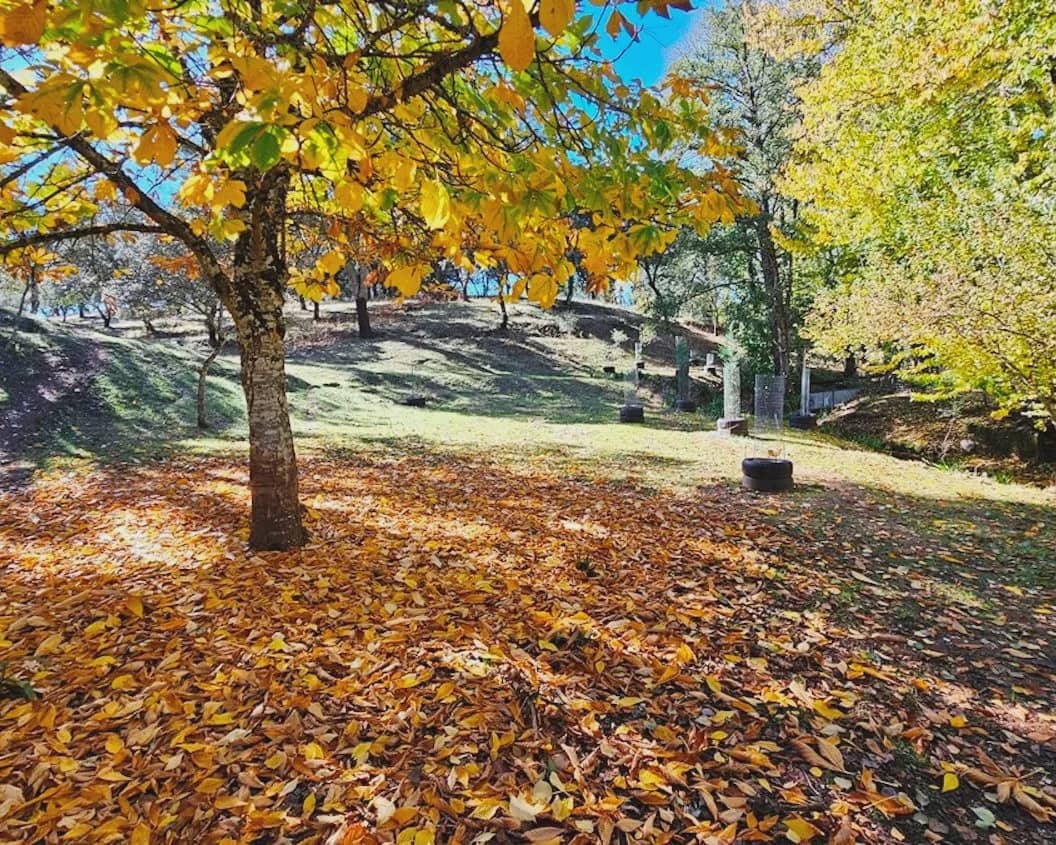 4 soverom Finca/Herregård til salgs i Cortelazor med svømmebasseng garasje - € 398 000 (Ref: 9626513)