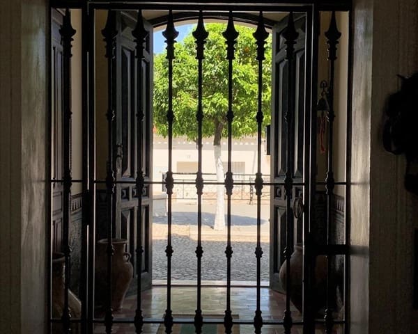 3 Zimmer Haus zu verkaufen in Almadén de la Plata - 233.000 € (Ref: 9709055)