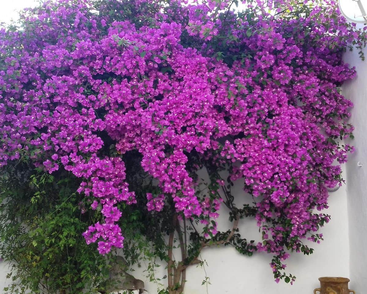 3 bedroom Townhouse for sale in Almaden de la Plata - € 233,000 (Ref: 9709055)