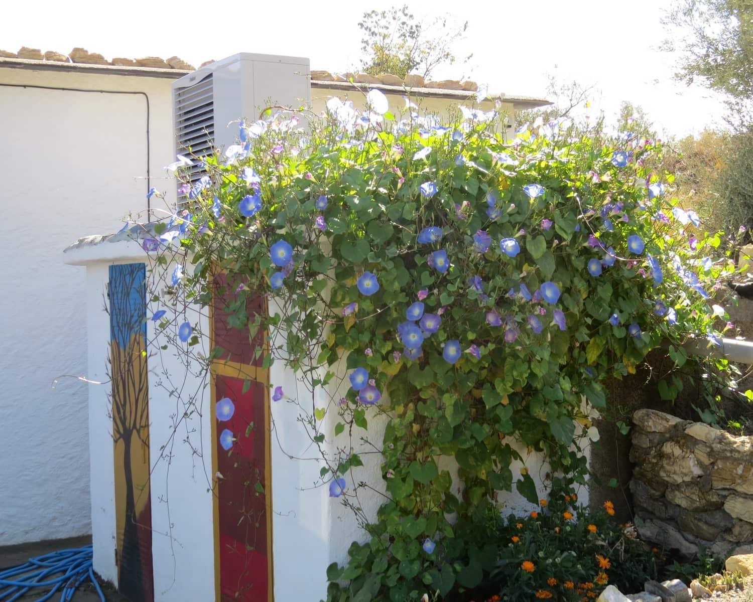 2 bedroom Finca/Country House for sale in Valor - € 148,000 (Ref: 9733586)