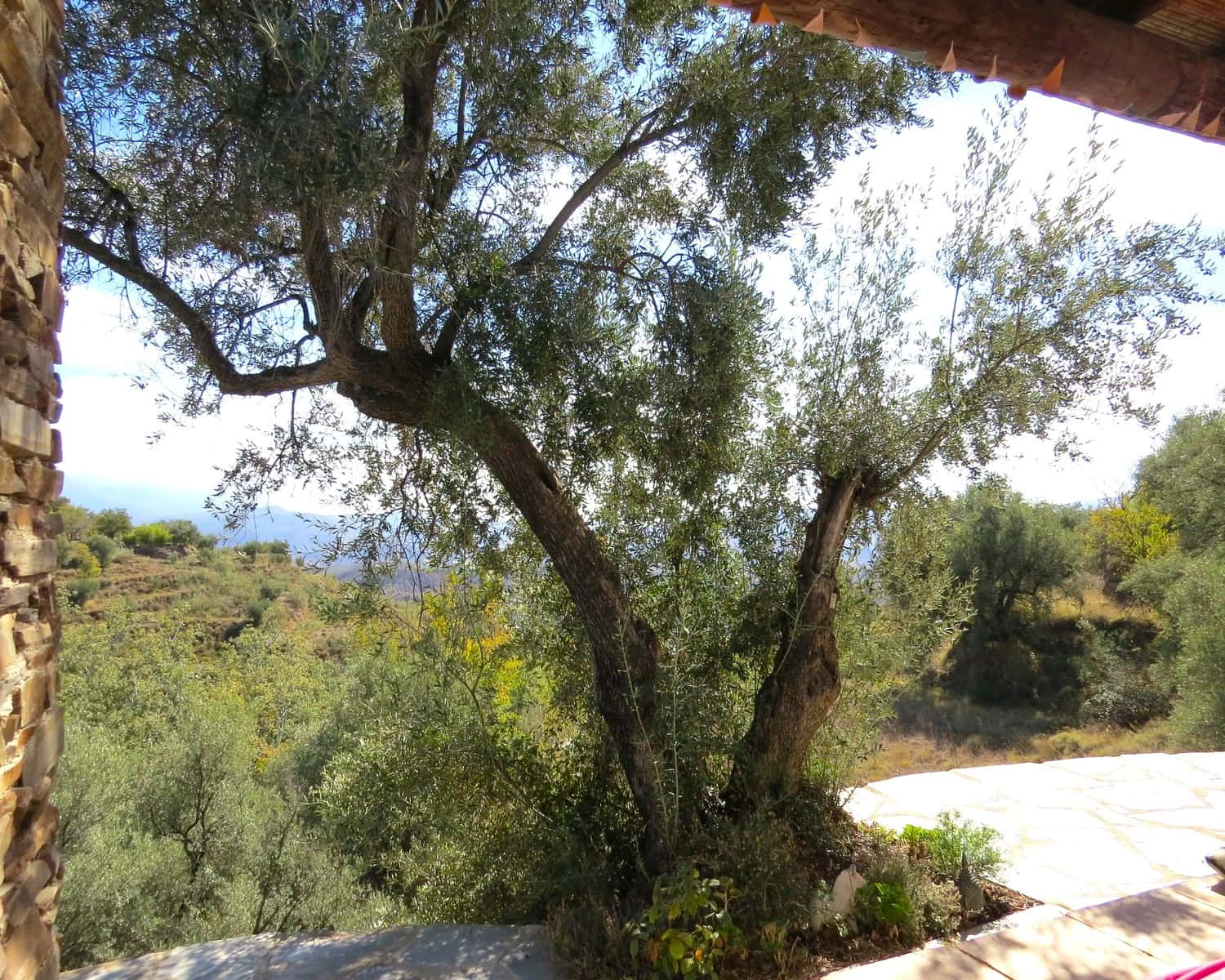 2 bedroom Finca/Country House for sale in Valor - € 148,000 (Ref: 9733586)