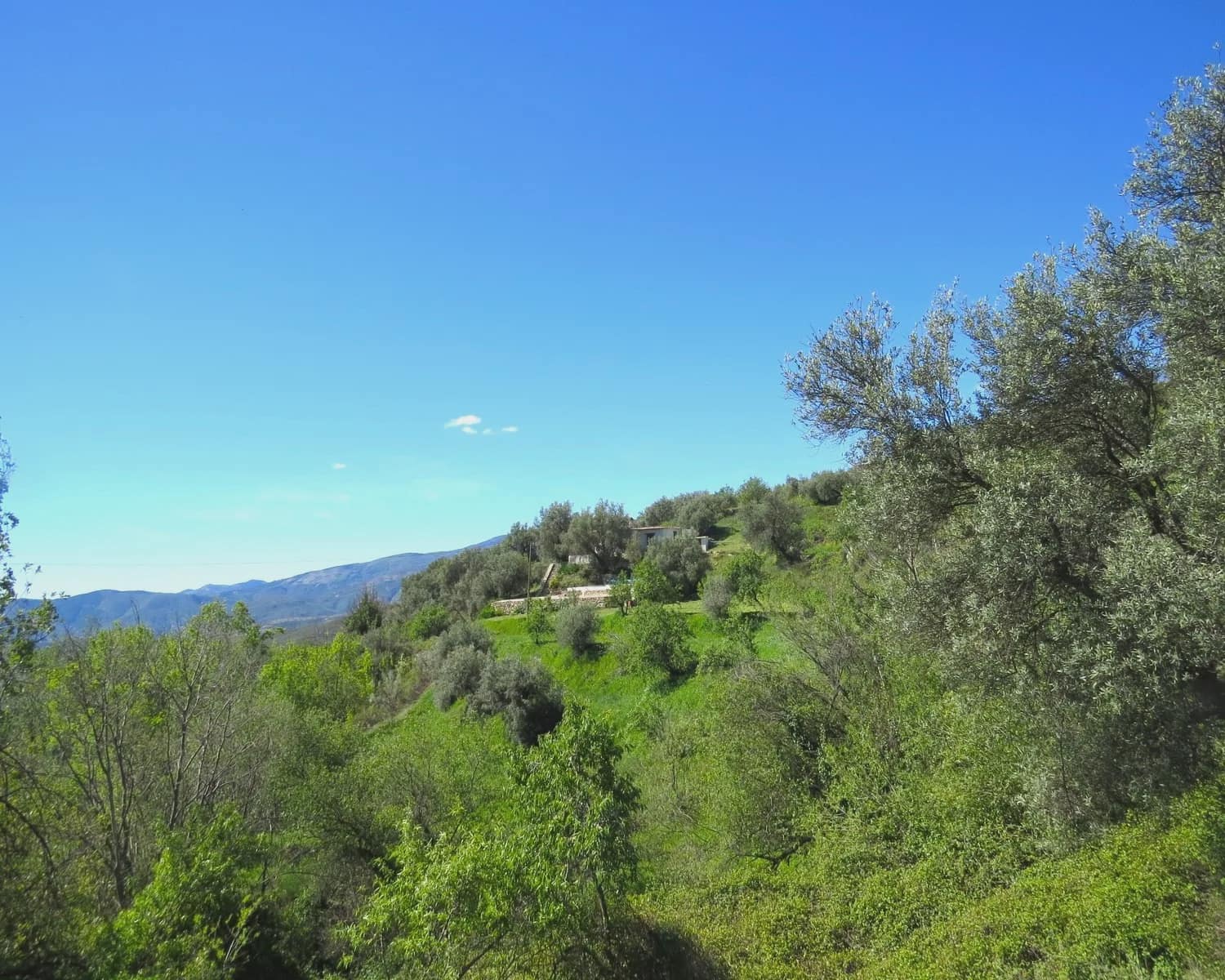Finca/Casa Rural de 2 habitaciones en Válor en venta con piscina - 160.000 € (Ref: 9733586)