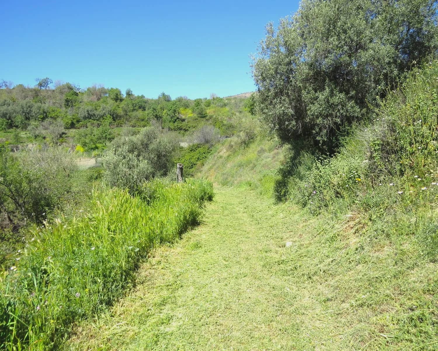 Finca/Casa Rural de 2 habitaciones en Válor en venta con piscina - 160.000 € (Ref: 9733586)